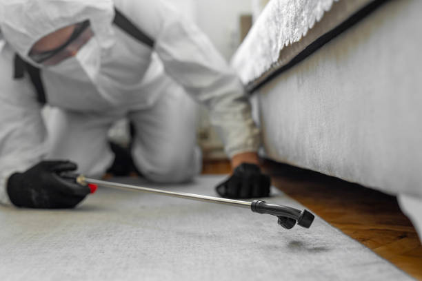 Professional Bed Bug Control technician working in Edmundson, MO